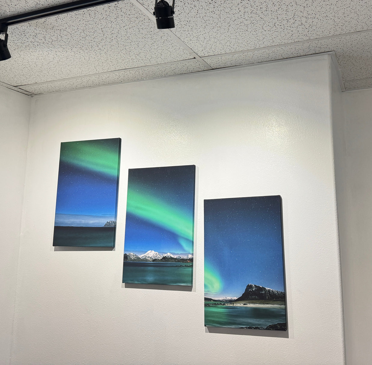 Custom Triptych Canvas Print – 3 Panel Wall Art